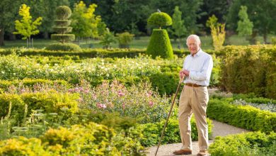 هل يواجه الأمير هاري وميغان ماركل خطر الإفلاس؟