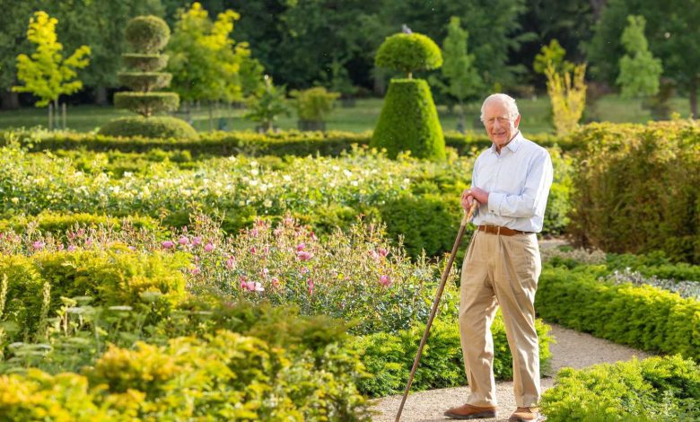 هل يواجه الأمير هاري وميغان ماركل خطر الإفلاس؟