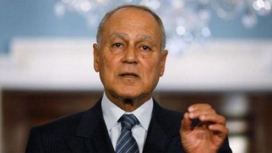 أبوالغيط يجدد الموقف العربي الملتزم بوحدة اليمن ودعم الحكومة الشرعية ويدعو لتجنيب التصعيد في حضرموت والمهرة