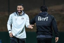 أحمد الشناوي