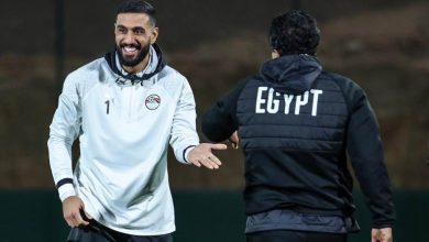 أحمد الشناوي