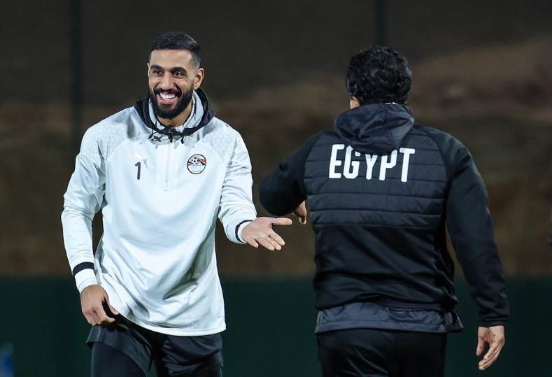 أحمد الشناوي