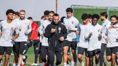 محمد مجدي أفشة