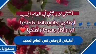 أمنيتي لزوجتي في العام الجديد 2023