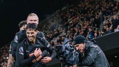 مانشستر سيتي ضد فولهام