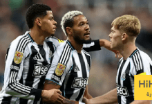 إصابات نيوكاسل يونايتد قبل لقاء توتنهام