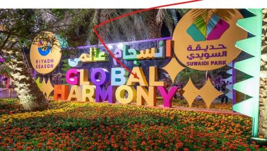 آلاف الزوار يكتشفون سحر الثقافة السودانية ضمن "انسجام عالمي 2"