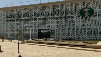 "البيئة" تشدد على الحد من الرعي الجائر لحماية الغطاء النباتي