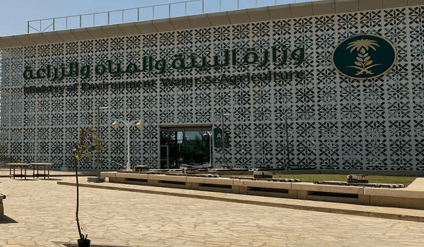 "البيئة" تشدد على الحد من الرعي الجائر لحماية الغطاء النباتي