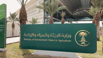 "البيئة" تطلق موسم الحمضيات السعودي بإنتاج يتجاوز 158 ألف طن