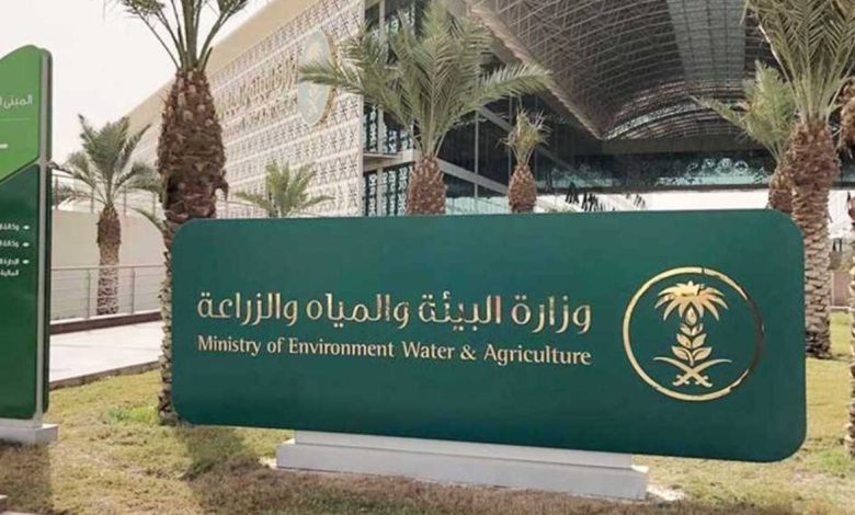 "البيئة" تطلق موسم الحمضيات السعودي بإنتاج يتجاوز 158 ألف طن