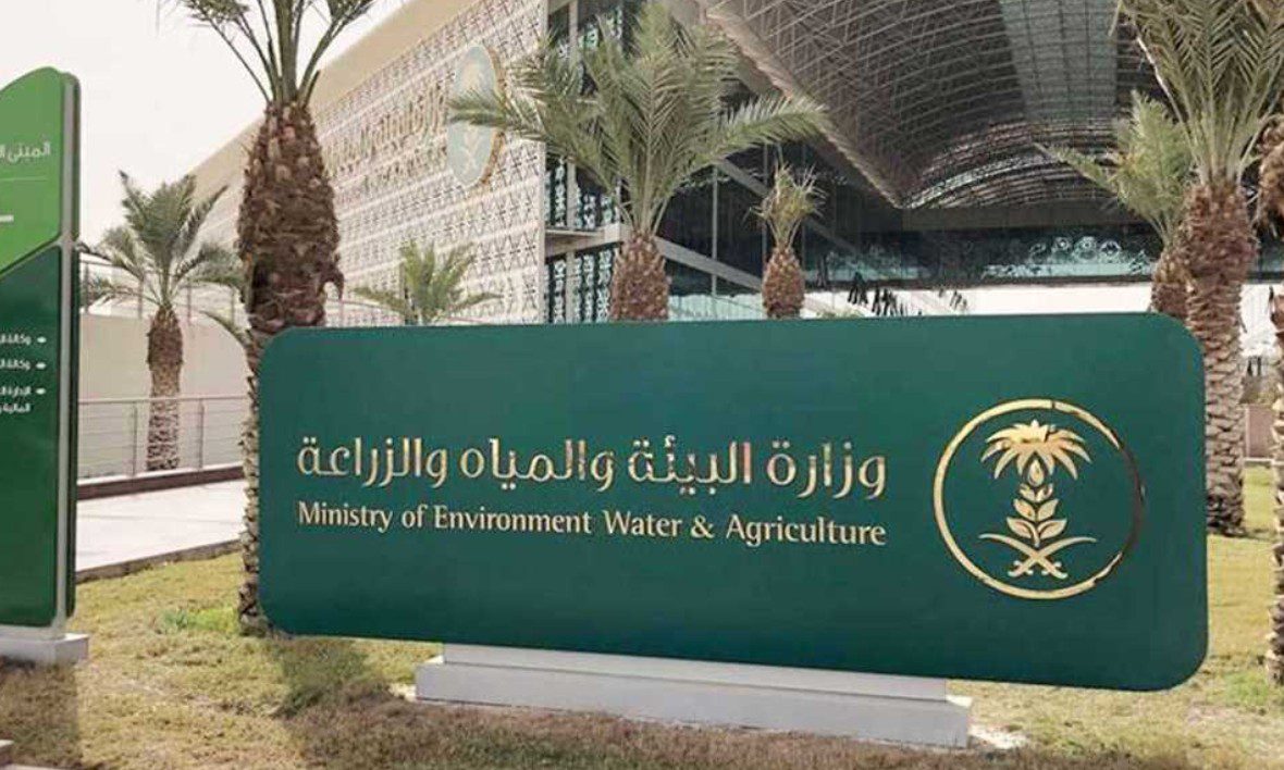 "البيئة" تطلق موسم الحمضيات السعودي بإنتاج يتجاوز 158 ألف طن