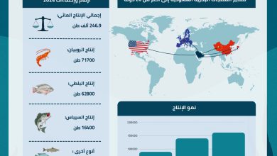 الروبيان السعودي.. قصة نجاح من الصحراء إلى العالم