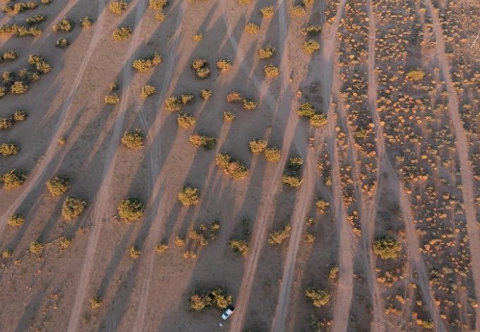"الغطاء النباتي" يؤهل 4.7 مليون هكتار في الفياض والرياض لتعزيز الاستدامة