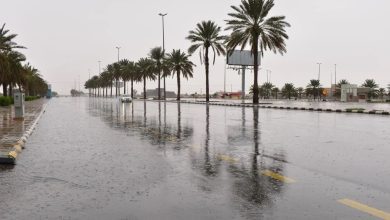 المركز العربي للمناخ يحذّر: كتلة قطبية شديدة البرودة تمتد من بلاد الشام وتؤثر على السعودية