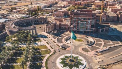 بالذهب والنانو.. ابتكار سعودي يعزل الخلايا المصابة ويكشف الفيروسات