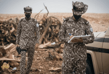 ضبط 4 مقيمين مخالفين لنظام البيئة في المنطقة الشرقية