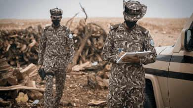 ضبط 4 مقيمين مخالفين لنظام البيئة في المنطقة الشرقية