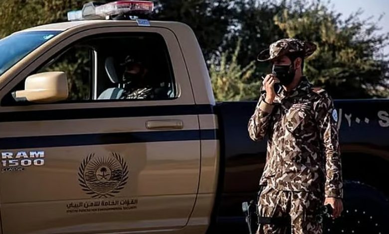 ضبط مخالف لنظام البيئة للتخييم دون ترخيص في محمية الملك عبدالعزيز