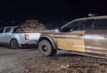 ضبط مخالف لنقله حطبًا محليًا في حائل