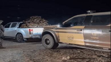 ضبط مخالف لنقله حطبًا محليًا في حائل