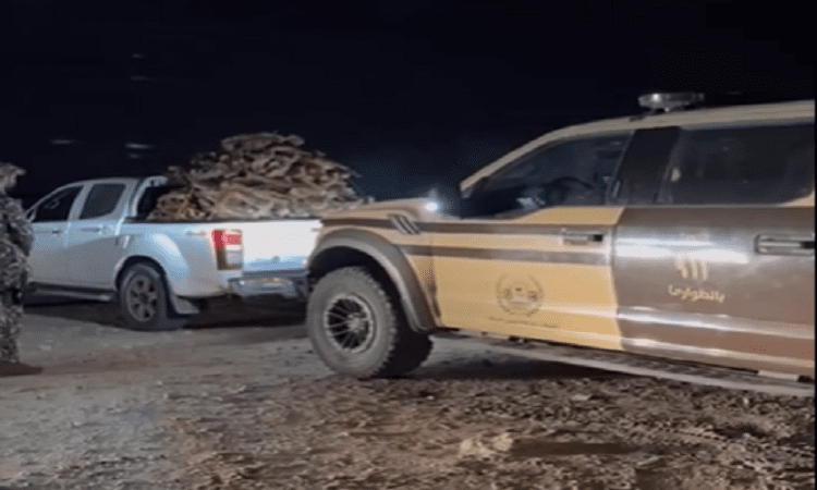 ضبط مخالف لنقله حطبًا محليًا في حائل