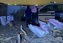 ضبط مخالفيَن لتخزينهما حطبًا محليًا في الرياض