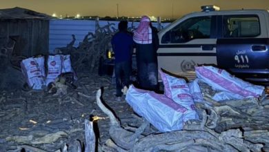 ضبط مخالفيَن لتخزينهما حطبًا محليًا في الرياض