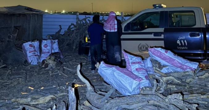 ضبط مخالفيَن لتخزينهما حطبًا محليًا في الرياض