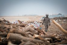 ضبط مواطن بحوزته حطب محلي في تبوك