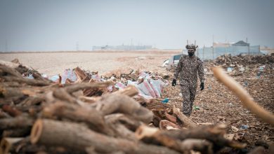 ضبط مواطن بحوزته حطب محلي في تبوك