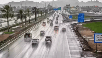 طقس اليوم.. أمطار خفيفة وضباب على عدة مناطق