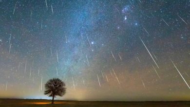 عرض سماوي مدهش.. زخات شهب التوأميات تزين سماء المملكة