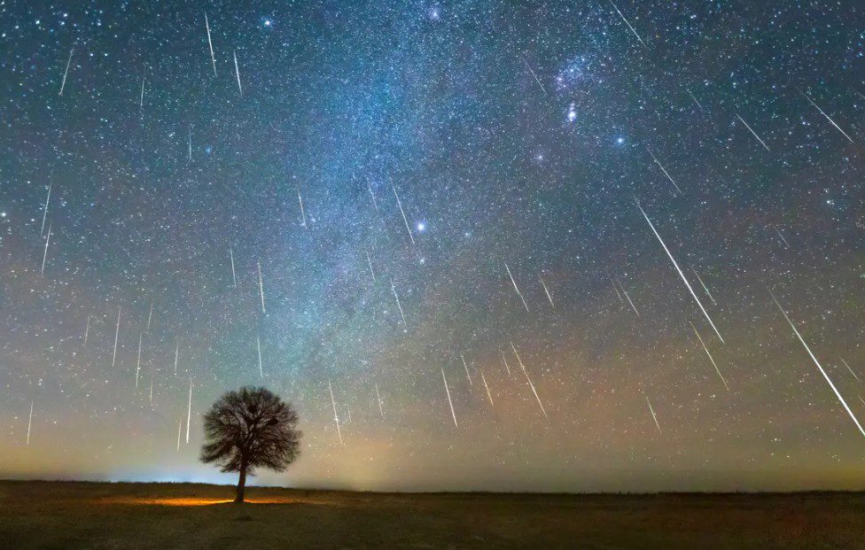 عرض سماوي مدهش.. زخات شهب التوأميات تزين سماء المملكة