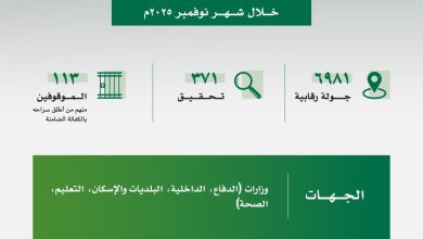 هيئة الرقابة ومكافحة الفساد توقف 113 شخصًا خلال نوفمبر