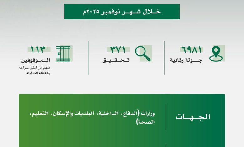 هيئة الرقابة ومكافحة الفساد توقف 113 شخصًا خلال نوفمبر