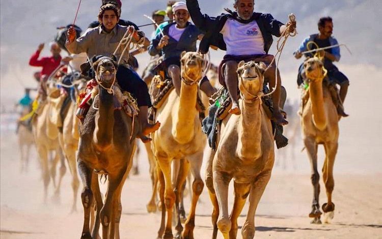 اختتام مميز لفعاليات مهرجان الشيخ محمد بن زايد لسباقات الهجن في شبوة