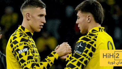 تقييم لاعبي بوروسيا دورتموند ضد هوفنهايم في الدوري الألماني