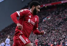 الأشعة تحدد مصير غوميز - هاي كورة