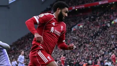 الأشعة تحدد مصير غوميز - هاي كورة