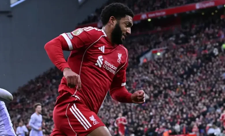 الأشعة تحدد مصير غوميز - هاي كورة