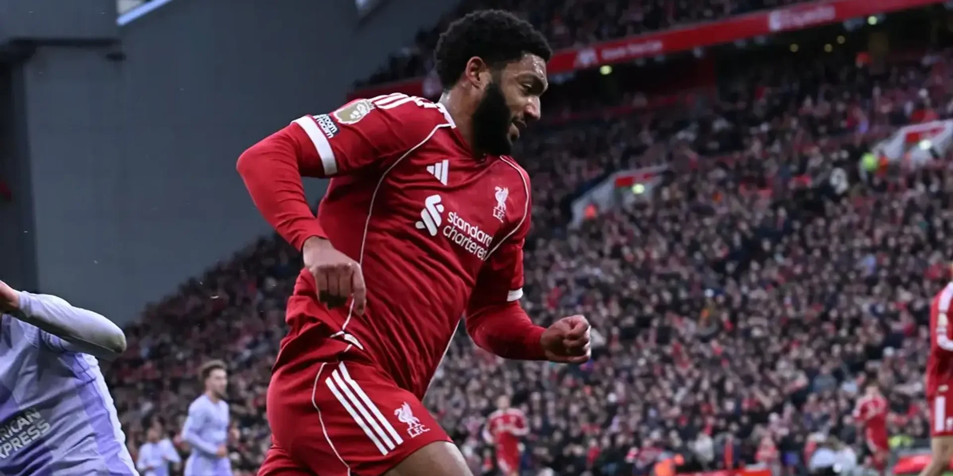 الأشعة تحدد مصير غوميز - هاي كورة