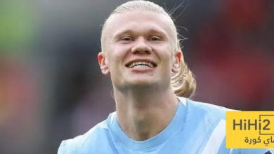 عدد أهداف هالاند في الدوري الانجليزي
