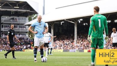 هدافي مانشستر سيتي في البريميرليغ قبل مواجهة فولهام