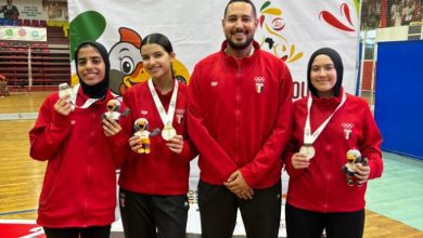 بعثة مصر في أنجولا