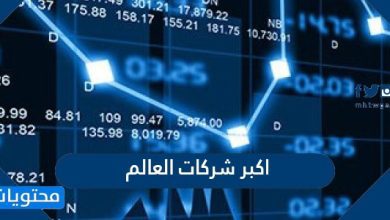 اكبر شركات العالم