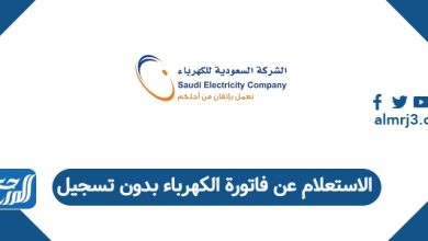 الاستعلام عن فاتورة الكهرباء بدون تسجيل