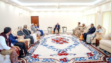 الزُّبيدي يبحث مع رئيس مجلس النواب تعزيز الأمن واستكمال تحرير المناطق الرازحة تحت سيطرة مليشيا الحوثي