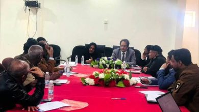 السلطة المحلية بشبوة و«إنترسوس» تبحثان معالجة الهجرة غير الشرعية