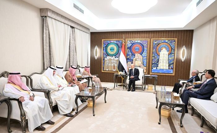 العليمي يستقبل الأمين العام لمجلس التعاون الخليجي